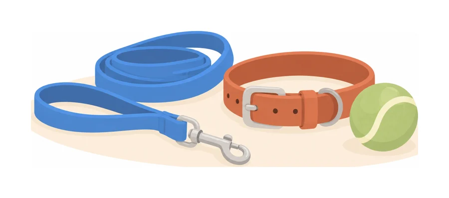 Correa, collar y pelota